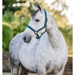 Cabestro de nylon Horseware image-0