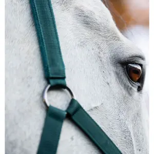 Cabestro de nylon Horseware image-1