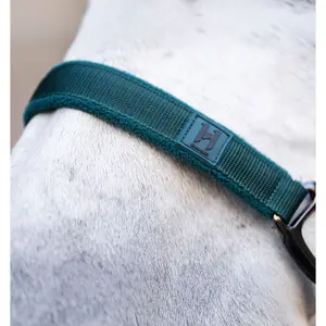 Cabestro de nylon Horseware image-2