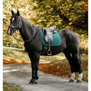 Dressage saddle pad for horses Horseware image-2