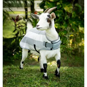 Cobija para cabra Horseware Newmarket 500g image-3