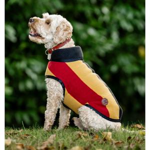rrhfk0-vrk0-ys-hundpals-horseware-newmarket-witney-stripes-gold