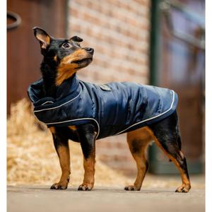 rrhpm0-b000-ys-cappottino-per-cani-horseware-signature-200g-marina