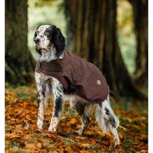 Dog coat Horseware Newmarket Heritage