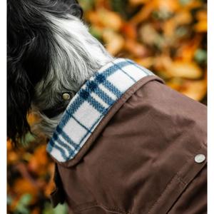 Dog coat Horseware Newmarket Heritage image-3