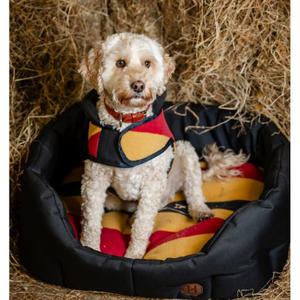 product/h/o/horseware-rshbnb-vrk0-la-witney-gold-2.jpg