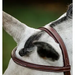 Riding bridle with reins Horseware Hunter image-1