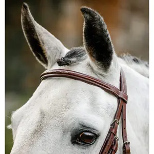 Riding bridle with reins Horseware Hunter image-2