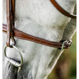 Riding bridle with reins Horseware Hunter image-3