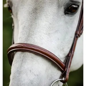 Riding bridle with reins Horseware Hunter image-4