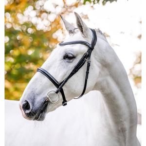 Zaumzeug Reiten Horseware image-1