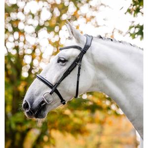 Zaumzeug Reiten Horseware image-2