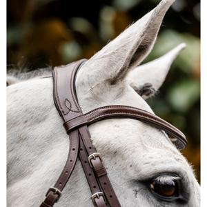 Zaumzeug Reiten Horseware image-3