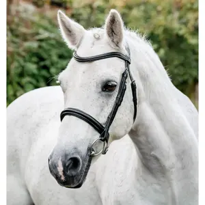 Σέλλα ιππασίας για πόνυ Horseware image-0
