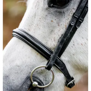 Σέλλα ιππασίας για πόνυ Horseware image-1