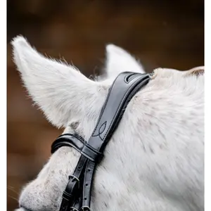 Σέλλα ιππασίας για πόνυ Horseware image-2