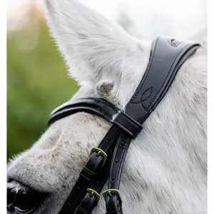 Σέλλα ιππασίας για πόνυ Horseware image-4