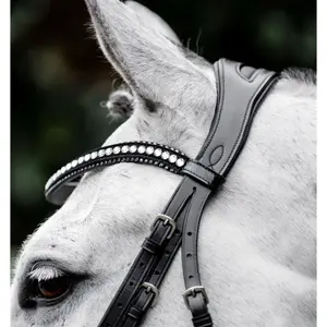 Riding bridle Horseware Flash image-1