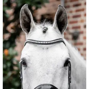 Riding bridle Horseware Flash image-2