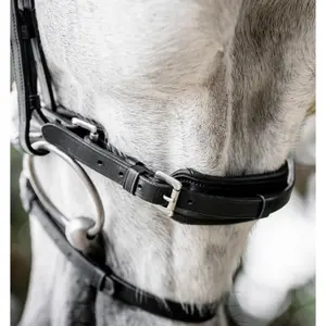 Riding bridle Horseware Flash image-3