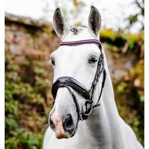 sbhdd0-kz00-co-zaumzeug-reiten-horseware-diamante-flash-schwarz-rosa