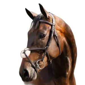 Crossed Leather Nasal Headcollar Horseware image-0