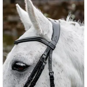 Riding bridle Horseware Flash image-1