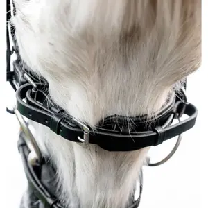 Riding bridle Horseware Flash image-2