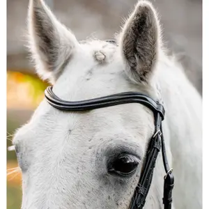 Riding bridle Horseware Flash image-3