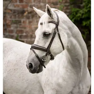 Pony bridle Horseware Flash image-0