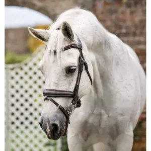 Pony bridle Horseware Flash image-1