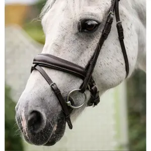 Pony bridle Horseware Flash image-2