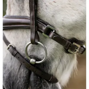 Pony bridle Horseware Flash image-3