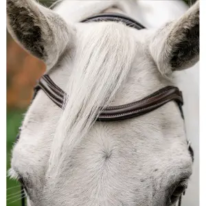 Pony bridle Horseware Flash image-4