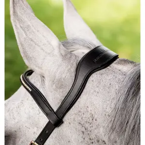 Zaumzeug Reiten Horseware Micklem Diamante image-1