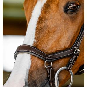 Uzda jeździecka Horseware Micklem image-1