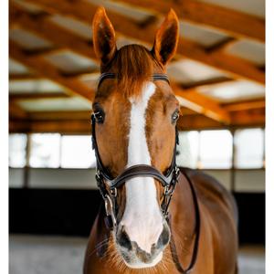 Uzda jeździecka Horseware Micklem image-4