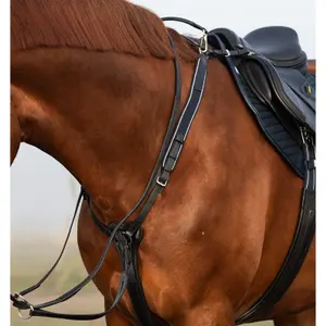 Borstplaat met martingaal Horseware Micklem image-1