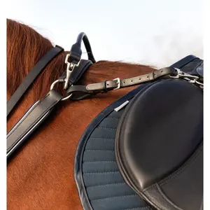 Borstplaat met martingaal Horseware Micklem image-3