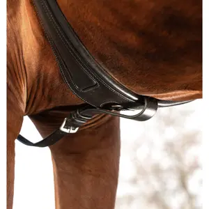 Borstplaat met martingaal Horseware Micklem image-4