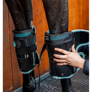 tahkp1-kda0-ea-closed-horse-boots-horseware-black-aqua-one-size