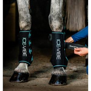 product/h/o/horseware-tahtp1-kda0-fu-black-aqua-3.jpg
