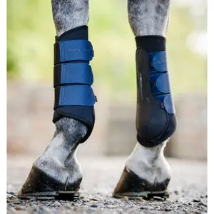 Geschlossene Gamaschen für Pferde Horseware Classic image-2