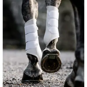 Geschlossene Gamaschen für Pferde Horseware Classic image-4