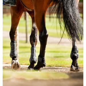Fetlock protectors Horseware Classic image-3