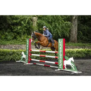 Anti-fly Mask Horseware Ionic image-4