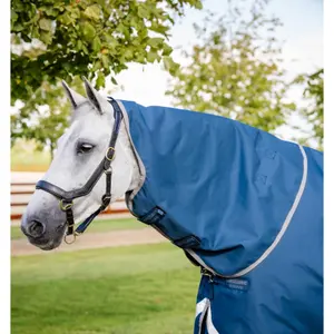 Coperta da paddock per cavalli Horseware Ionic Therapy 0g image-1