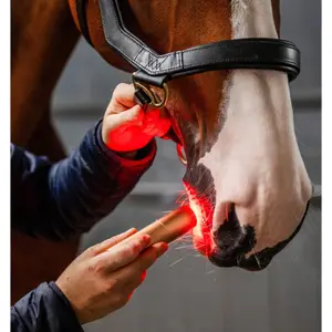 LED-Lampe Horseware Wand image-2