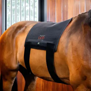 Tapis de selle thérapeutique Horseware image-1