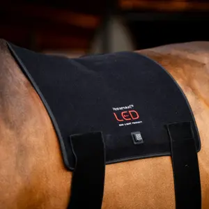 Tapis de selle thérapeutique Horseware image-2